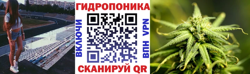 Псилоцибиновые грибы Староминская