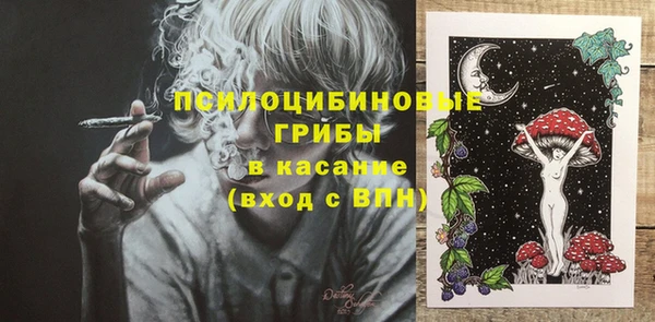 ПСИЛОЦИБИНОВЫЕ ГРИБЫ Алексеевка